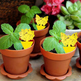 BugShield Plant Protector