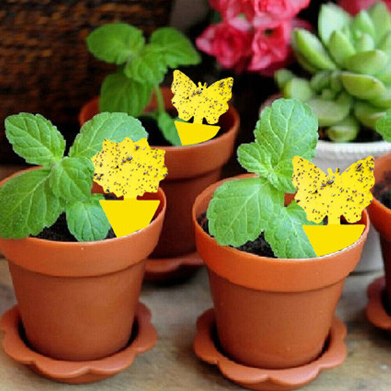 BugShield Plant Protector