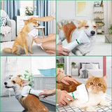 2 in 1 Pet Hair Comb & Dryer